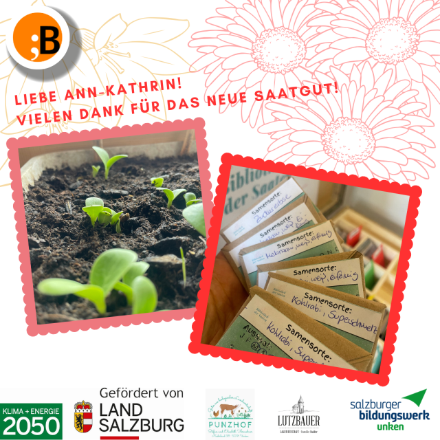 Bibliothek der Saaten 26