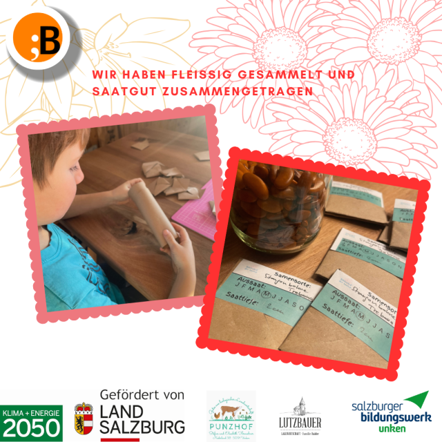 Bibliothek der Saaten 26