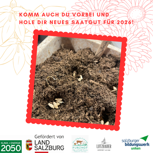 Bibliothek der Saaten 26