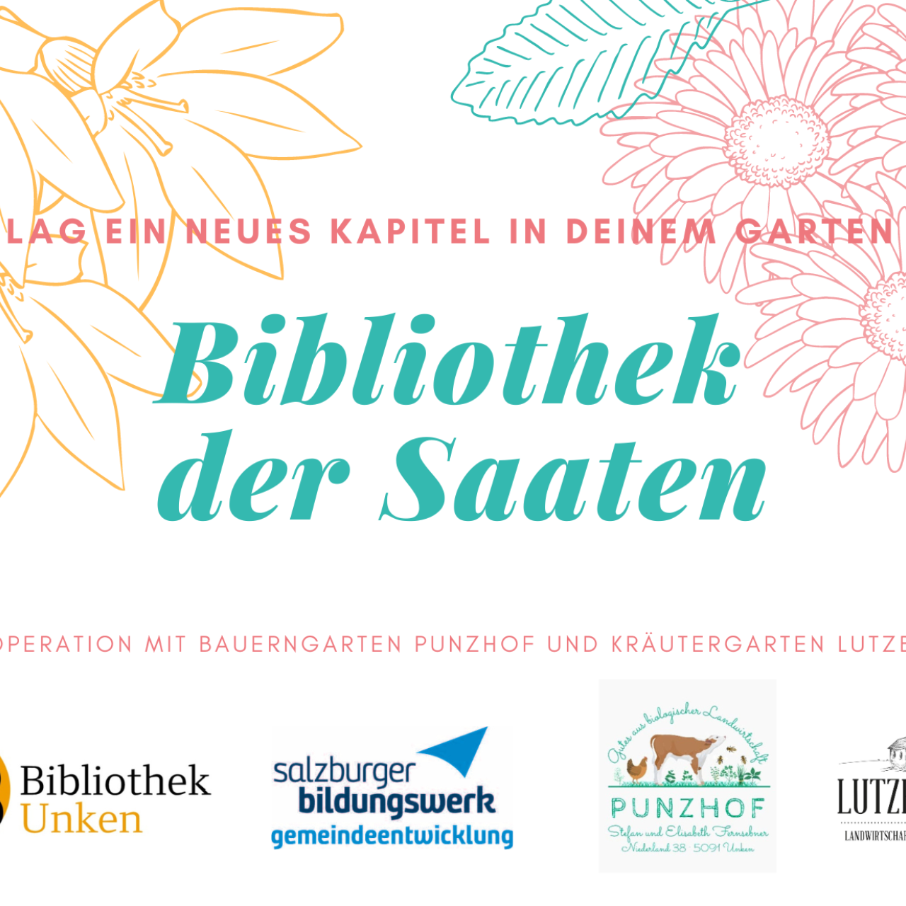 Bibliothek der Saaten 24